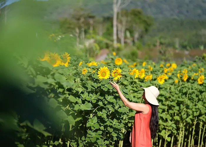 Dusun Bedugul Asri *