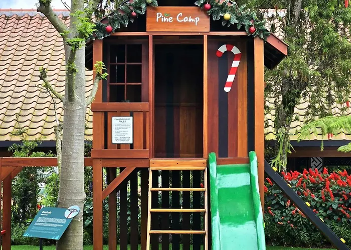 Resort Dusun Bedugul Asri Bedugul (Bali)