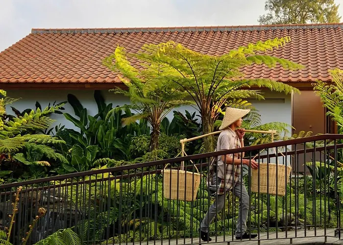 Dusun Bedugul Asri Resort *